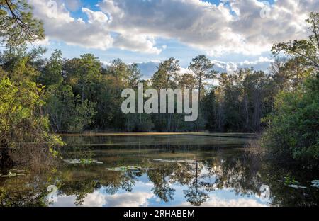 Magnifique parc d'État de Wekiwa Springs, lac et forêt tropicale au coucher du soleil à Orlando, Floride. Banque D'Images