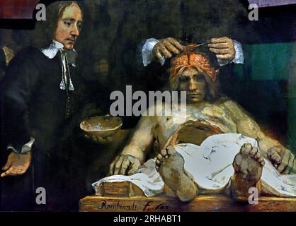 La leçon d'anatomie du dr Jan Deijman ( fragment ) 1656 Rembrandt Harmenz van Rijn 1606 - 1669 Néerlandais, pays-Bas, Hollande. (Détail) la deuxième leçon d’anatomie de Rembrandt est un fragment d’un portrait de groupe. En 1723, la plus grande partie de la toile a été détruite par un incendie. La section centrale restante montre le Dr Jan Deijman effectuant une autopsie sur le cerveau d’un homme mort. L'assistant tient le sommet du crâne. Rembrandt a présenté l'homme mort dans un raccourci de sorte que la table de dissection semble dépasser de l'image. Banque D'Images