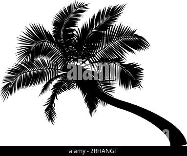 Forme de palmier de noix de coco courbé. Illustration vectorielle de palmier penché. Image de tronc de palmier tropical, feuillage, branches, feuilles dans le vecteur. Illustration de Vecteur