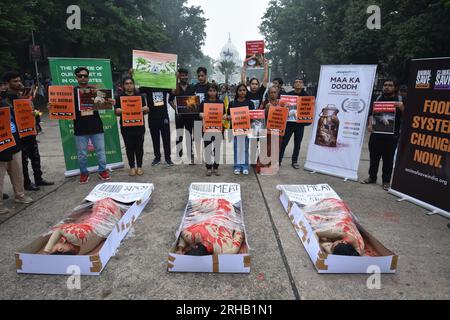 Kolkata, Inde. 15 août 2023. 15 août 2023, Kolkata, Inde. Les activistes amoureux des animaux organisent une manifestation de protestation avec de la chair humaine symbolique dans des plateaux, une représentation visuelle poignante d'animaux soumis aux horreurs de l'élevage industriel et des affiches contre l'exploitation animale le 76e jour de l'indépendance indienne devant Victoria Memorial Hall, le 15 août 2023, à Kolkata City, en Inde. (Photo de Biswarup Ganguly/Eyepix Group). Crédit : EYEPIX Group/Alamy Live News Banque D'Images