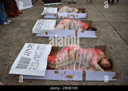 Kolkata, Inde. 15 août 2023. 15 août 2023, Kolkata, Inde. Les activistes amoureux des animaux organisent une manifestation de protestation avec de la chair humaine symbolique dans des plateaux, une représentation visuelle poignante d'animaux soumis aux horreurs de l'élevage industriel et des affiches contre l'exploitation animale le 76e jour de l'indépendance indienne devant Victoria Memorial Hall, le 15 août 2023, à Kolkata City, en Inde. (Photo de Biswarup Ganguly/Eyepix Group). Crédit : EYEPIX Group/Alamy Live News Banque D'Images