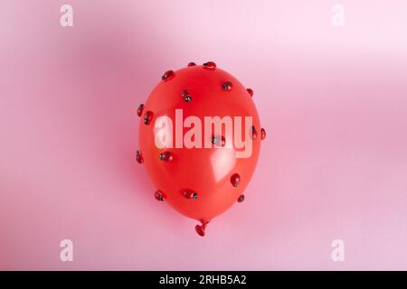 une invasion de nombreuses coccinelles sur un ballon gonflable rouge avec un fond rose. Photographie de natures mortes en couleur minimale. Banque D'Images