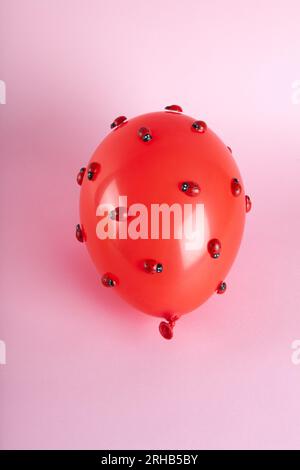 une invasion de nombreuses coccinelles sur un ballon gonflable rouge avec un fond rose. Photographie de natures mortes en couleur minimale. Banque D'Images