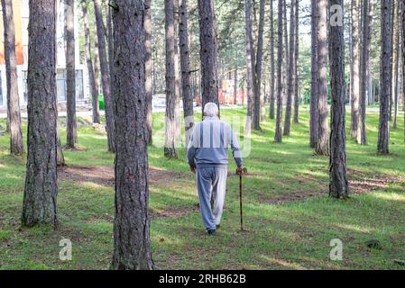 Homme âgé avec un bâton marchant à travers la forêt Banque D'Images