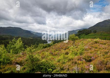 Glen Affric près de Cannich dans les Highlands d'Écosse, Royaume-Uni Banque D'Images