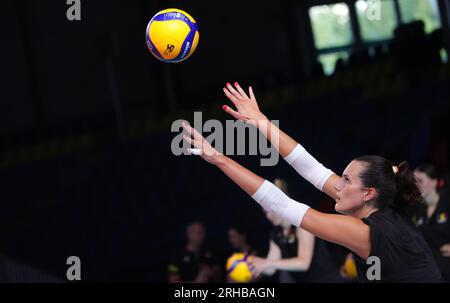 Gand, Belgique. 15 août 2023. La Belge Nathalie Lemmens photographiée en action lors d'une séance d'entraînement de l'équipe nationale belge féminine de volleyball les Tigres jaunes, mardi 15 août 2023 à Gand. L'équipe se prépare pour les prochains championnats d'Europe CEV EuroVolley. BELGA PHOTO VIRGINIE LEFOUR crédit : Belga News Agency/Alamy Live News Banque D'Images