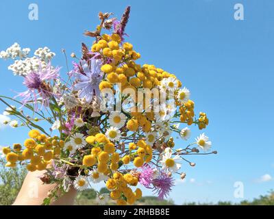 Bouquet avec diverses fleurs et un ciel bleu en arrière-plan Banque D'Images