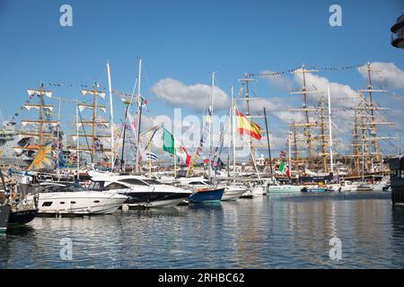 Falmouth, Cornwall, le 15 août 2023, les Tall Ships sont amarrés à Falmouth, Cornwall avant le départ de la course, Magellan Elcano le vendredi 18 août à 3H. Des milliers de visiteurs sont arrivés à bord des navires et ont une rencontre rapprochée avec ces navires historiques. Crédit : Keith Larby/Alamy Live News Banque D'Images