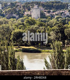 Tour Philippe le Bel. Vue sur le Rhône à Avignon. Vaucluse, Provence, France, Europe. Banque D'Images