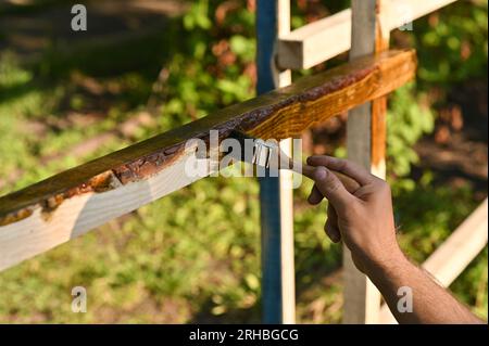 Une personne peint le bois avec un revêtement de peinture. dans le jardin Banque D'Images