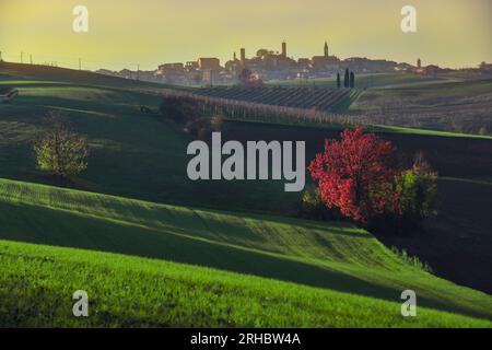 Paysage vallonné près de lu Monferrato, Alessandria, Piémont, Italie Banque D'Images