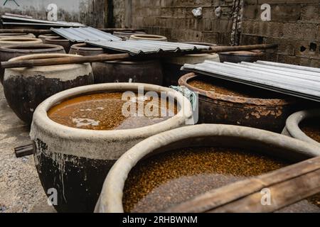 Bangkok, Thaïlande. 15 août 2023. Le soja avec de la saumure dans un bocal sous la lumière du soleil fermentent, l'un des six processus, à l'usine de sauce de soja maison Hao Yong Seng du siècle, à Khlong Bang Luang, communauté historique le long du canal. 'Hao Yong Seng'' est la seule usine de sauce de soja maison restante à Bangkok, depuis 3 générations, depuis plus de 100 ans, la famille n'a jamais changé la formule et maintient toujours le processus de fabrication traditionnel qui prend jusqu'à 6 mois pour obtenir une bouteille, dans la communauté de Khlong Bang Luang qui était autrefois un district économique, c'est le seul soja Banque D'Images