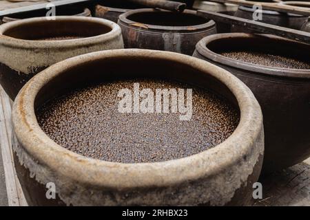 Bangkok, Thaïlande. 15 août 2023. L’usine de sauce soja maison Hao Yong Seng compte sur le soleil pour fermenter le soja dans de grands contenants pendant quatre à cinq mois, à Khlong Bang Luang, communauté historique le long du canal. 'Hao Yong Seng'' est la seule usine de sauce de soja maison restante à Bangkok, depuis 3 générations, depuis plus de 100 ans, la famille n'a jamais changé la formule et maintient toujours le processus de fabrication traditionnel qui prend jusqu'à 6 mois pour obtenir une bouteille, dans la communauté de Khlong Bang Luang qui était autrefois un quartier économique, c'est la seule usine de sauce soja qui reste Banque D'Images