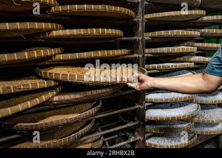 Bangkok, Thaïlande. 15 août 2023. Racks de soja qui sont séchés par le soleil avant d'être mélangés avec du sel de mer de qualité supérieure, à l'usine de sauce soja maison Hao Yong Seng du siècle, à Khlong Bang Luang, communauté historique le long du canal. 'Hao Yong Seng'' est la seule usine de sauce de soja maison restante à Bangkok, depuis 3 générations, depuis plus de 100 ans, la famille n'a jamais changé la formule et maintient toujours le processus de fabrication traditionnel qui prend jusqu'à 6 mois pour obtenir une bouteille, dans la communauté Khlong Bang Luang qui était autrefois un district économique, c'est le seul s. Banque D'Images