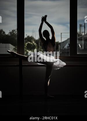 Vue arrière de la ballerine en jupe tutu étirant sur barre et regardant la fenêtre dans le studio sombre Banque D'Images
