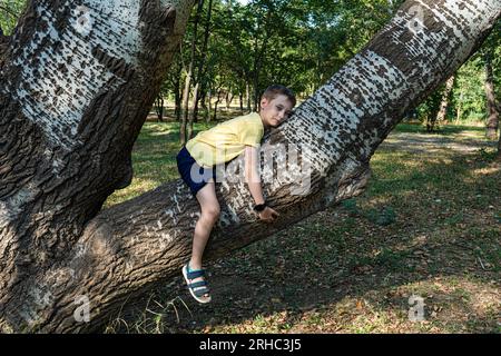 Garçon allongé sur un tronc d'arbre en été, Géorgie Banque D'Images