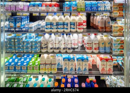 Italie - 14 août 2023 : emballages de lait frais et de crème fraîche de différents types et marques sur les comptoirs à vendre dans un supermarché italien Banque D'Images