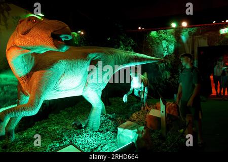 Holon, Israël. 15 août 2023. Les gens visitent une exposition de dinosaures modèles à Holon, dans le centre d’Israël, le 15 août 2023. Des dizaines de modèles de dinosaures grandeur nature de différentes périodes sont présentés à l'exposition, offrant aux enfants une expérience d'apprentissage interactive. Crédit : Gil Cohen Magen/Xinhua/Alamy Live News Banque D'Images