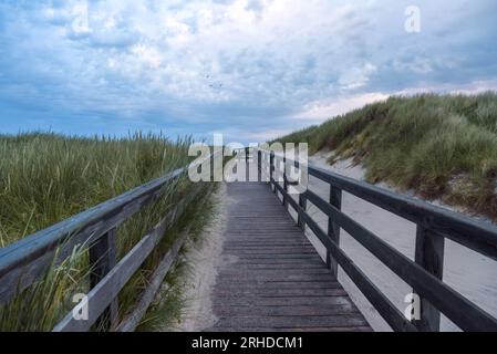 Paysage de coucher de soleil sur la belle île allemande, Sylt, dans la mer du Nord. Sentier en bois mouillé passant au-dessus des dunes couvertes d'herbe marrame Banque D'Images