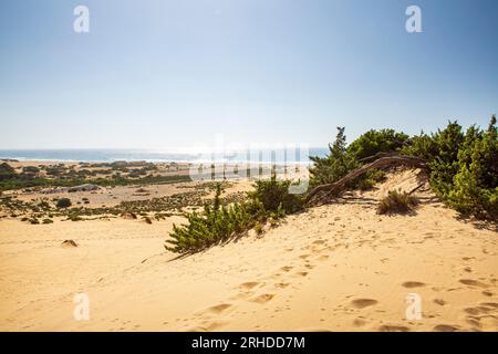 Les dunes de Piscinas, dans le sud de l'île de Sardaigne Banque D'Images