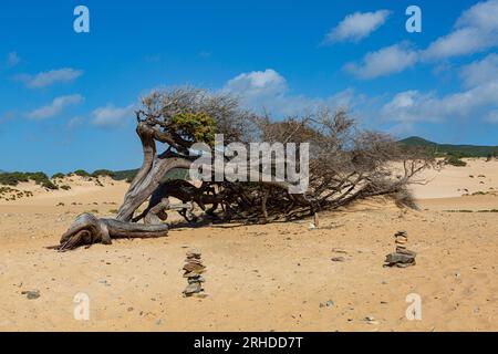 Les dunes de Piscinas, dans le sud de l'île de Sardaigne Banque D'Images