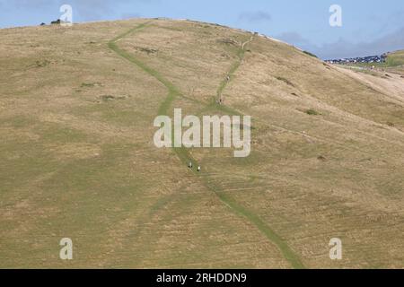 Sentiers sur une colline, près de Lulworth, Dorset Banque D'Images