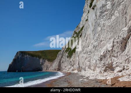 Les falaises de craie roulantes du Dorset à l'ouest de Durdle Door, près de Lulworth, Dorset Banque D'Images