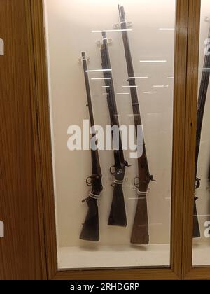 Quelques fusils qui montrent une variété d'armes à feu telles que silex ; mousquet ; serrure d'allumette ; charge de museau ; museau Banque D'Images