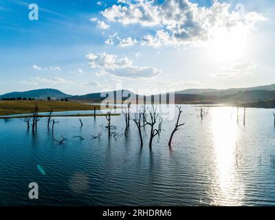 Arbres morts dans le lac St clair dans Hunter Valley en Australie avec lumière argentée du soleil couchant et ciel bleu Banque D'Images