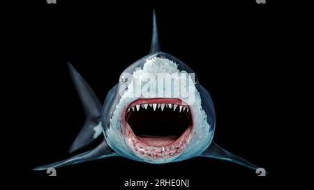 Effrayant grand requin blanc nageant sous l'eau vue de face Megalodon avec la grande mâchoire ouverte -bouche et dents est le requin le plus prédateur dans l'océan Banque D'Images