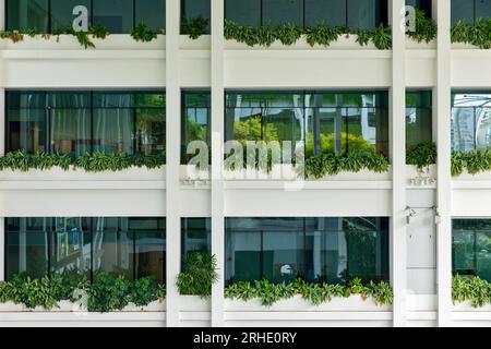 Terrasses oasis à Singapour, un toit vert offre une solution urbaine basée sur la nature aux défis environnementaux tels que le changement climatique. Banque D'Images