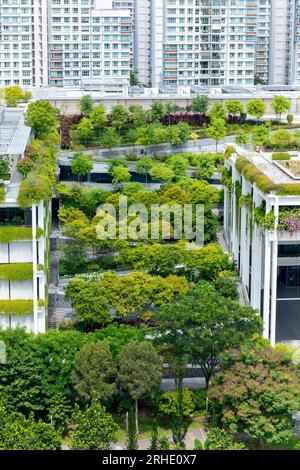 Terrasses oasis à Singapour, un toit vert offre une solution urbaine basée sur la nature aux défis environnementaux tels que le changement climatique. Banque D'Images