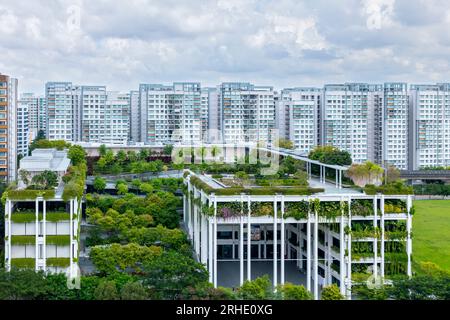 Terrasses oasis à Singapour, un toit vert offre une solution urbaine basée sur la nature aux défis environnementaux tels que le changement climatique. Banque D'Images