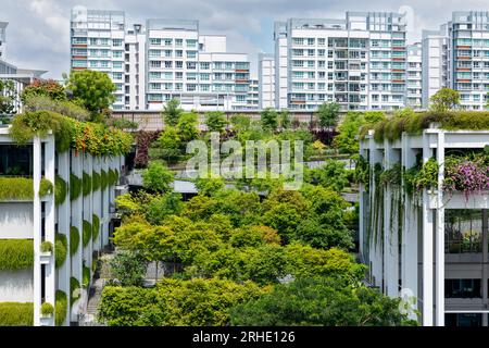 Terrasses oasis à Singapour, un toit vert offre une solution urbaine basée sur la nature aux défis environnementaux tels que le changement climatique. Banque D'Images