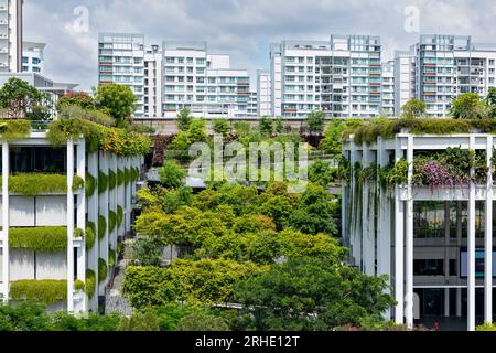 Terrasses oasis à Singapour, un toit vert offre une solution urbaine basée sur la nature aux défis environnementaux tels que le changement climatique. Banque D'Images