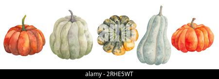 Ensemble de citrouilles. Différentes formes et couleurs d'ingrédient alimentaire naturel. Clipart pour la conception de cartes et invitations sur le thème de l'automne et Banque D'Images