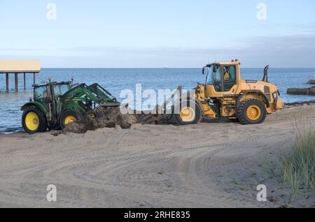 Tracteurs nettoyant la plage des algues après la tempête Banque D'Images