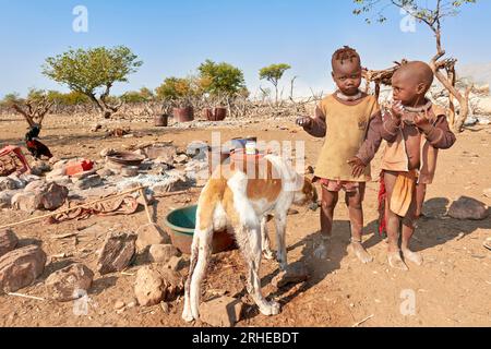 Namibie. La vie dans un village Himba. Région de Kunene Banque D'Images