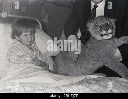 années 1970, historique, dans un hôpital du sud de londres, un petit garçon malade a un visiteur surprise allongé sur son lit, un club lion... eh bien, c'était les années 1970 ! Banque D'Images