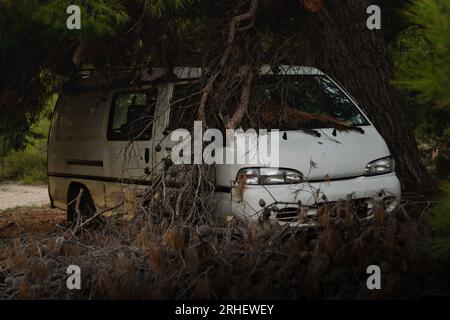 Vieille voiture abandonnée et rouillée avec de la peinture blanche, qui est recouverte de branches et de broussailles Banque D'Images