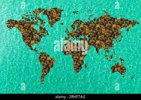 Carte du monde composée de divers arbres détaillés sur fond blanc Uni, y compris les ombres. Cette illustration 3D d'une forêt est conceptua. Banque D'Images