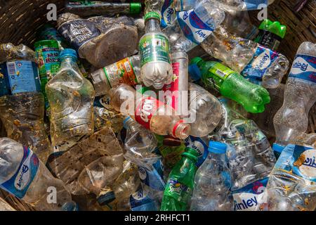 Différents types de bouteilles en plastique rassemblés pour être recyclés à Dhaka, au Bangladesh. Banque D'Images