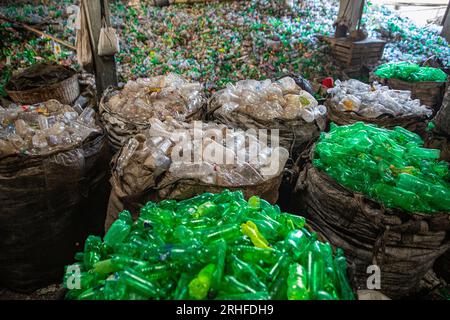 Différents types de bouteilles en plastique rassemblés pour être recyclés à Dhaka, au Bangladesh. Banque D'Images