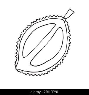 Vecteur dessin de doodle dessiné à la main fruit durian isolé sur fond blanc Illustration de Vecteur