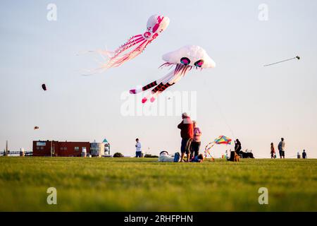 Norddeich, Allemagne. 16 août 2023. Plusieurs cerfs-volants colorés volent dans le soleil du soir au-dessus d'une prairie sur la plage. Le 16.08.2023 les vacances d'été en Basse-Saxe et Brême se terminent Crédit : Hauke-Christian Dittrich/dpa/Alamy Live News Banque D'Images