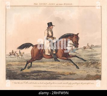 Ensemble de sept : les sept âges du cheval 1825 par Henry Thomas Alken Banque D'Images