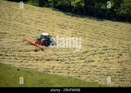 Agriculteur tournant du foin fraîchement coupé avec un tracteur, Velbert, NRW, Allemagne Banque D'Images