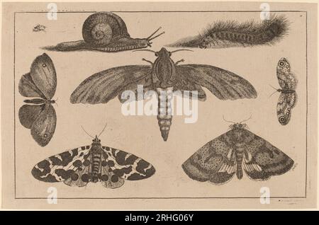 Six insectes, une chenille et un escargot de Venceslaus Hollar Banque D'Images