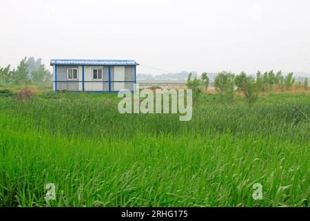 Maisons simples et roseau, nord de la chine Banque D'Images