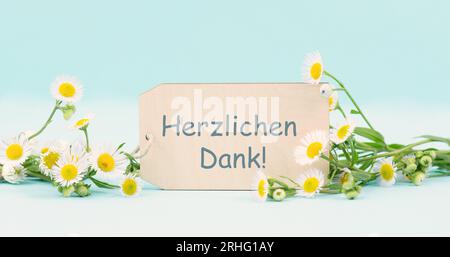 Merci en langue allemande, carte entourée de fleurs, être reconnaissant, soutien, aide et concept de charité, attitude positive Banque D'Images